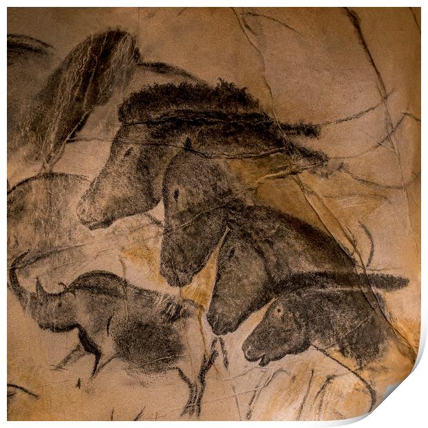 Chauvet Cave Horses Print by Arterra 