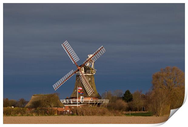 Oldsum Windmill Print by Arterra 
