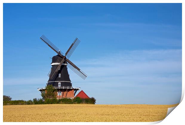 Krageholm Windmill Print by Arterra 