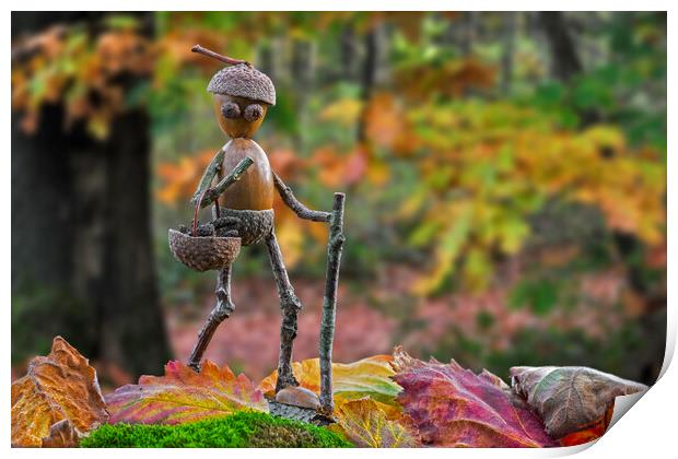 Little Acorn Man Walking in Autumn Forest Print by Arterra 