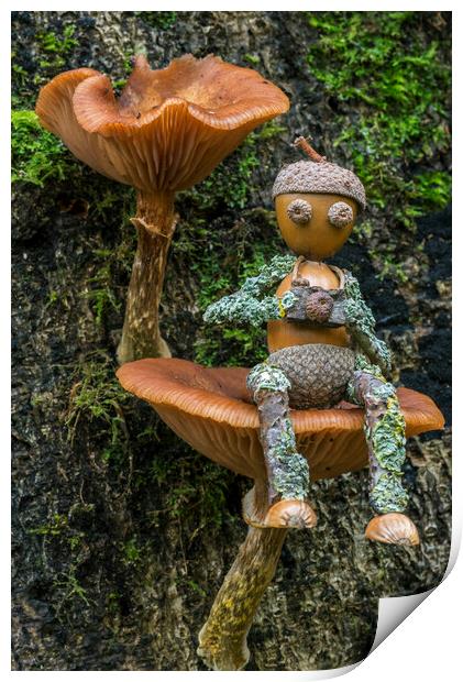 Little Photographer on Mushroom Print by Arterra 