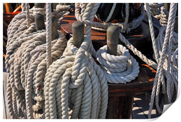Coiled Ropes on Board of Frigate Print by Arterra 