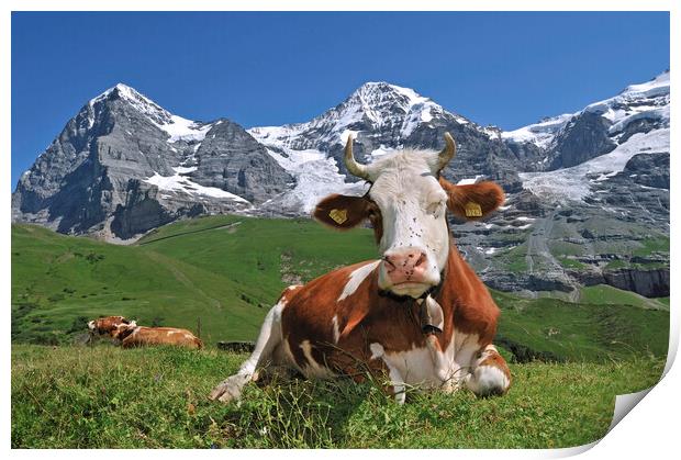 The Eiger and Alpine Cow, Switzerland Print by Arterra 