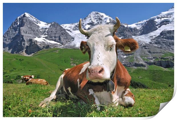 Swiss Cow in the Alps Print by Arterra 
