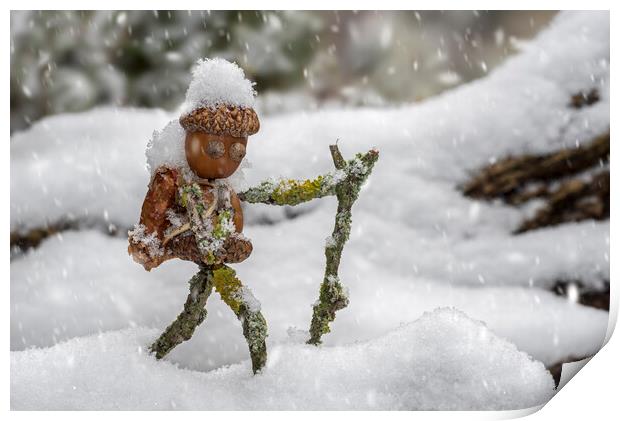 Little Acorn Man Hiking in the Snow Print by Arterra 