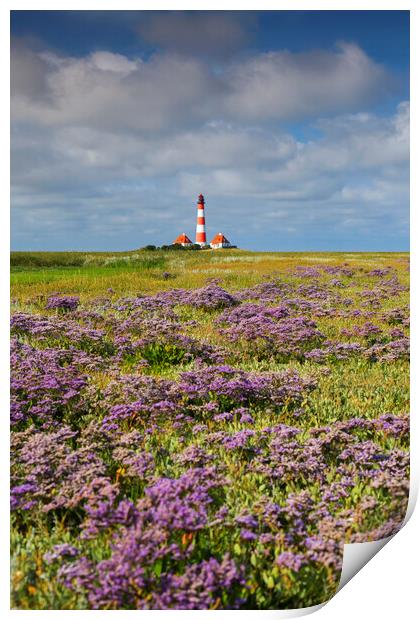 Sea-Lavender and Lighthouse Westerheversand Print by Arterra 