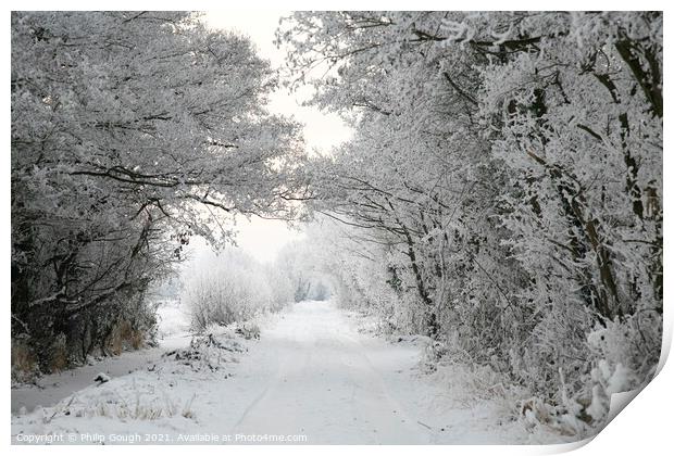 Snow on The Somerset Levels Print by Philip Gough