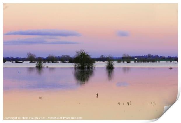 Floods On The Somerset Levels Print by Philip Gough