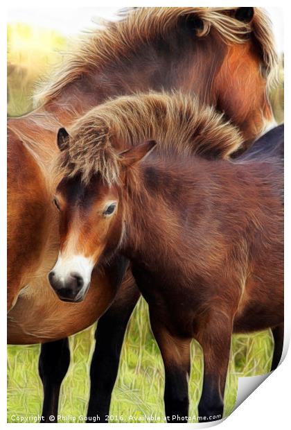 Exmoor Ponies Print by Philip Gough