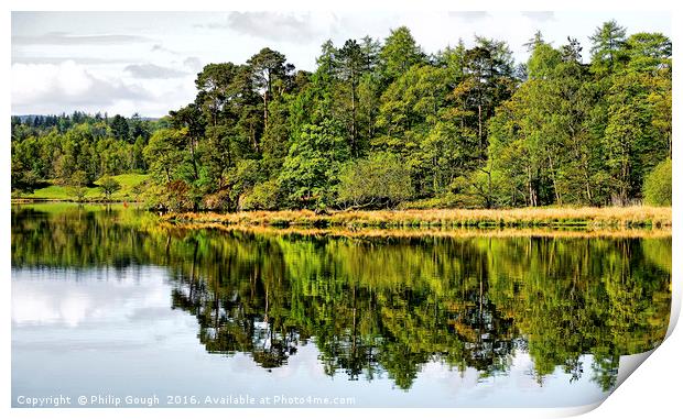 Reflection in the Landscape Print by Philip Gough