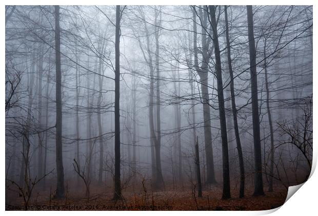 Spooky forest and mist Print by Ragnar Lothbrok