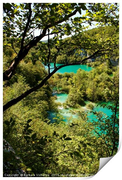 Beautiful view at a couple of lakes in Plitvice Na Print by Barbara Vizhanyo