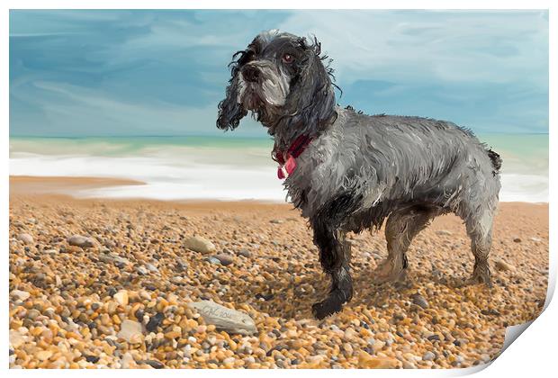 Cocker Spaniel on the beach Print by George Cairns