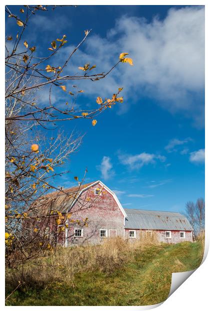 Canadian barn in Autumn Print by George Cairns