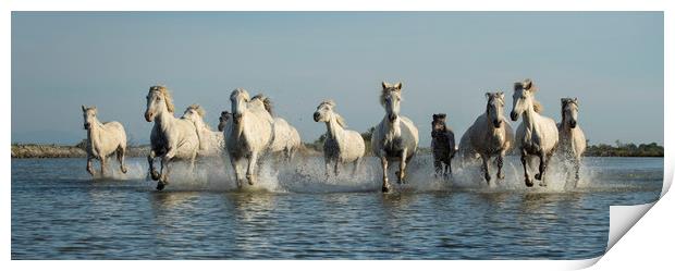 White Horses of Camargue Print by Janette Hill