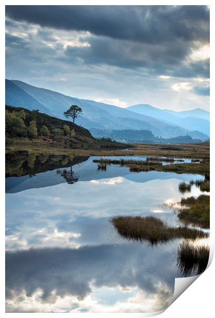 Scottish Blue Print by Janette Hill