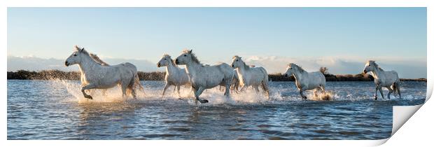 Sea Horses panorama Print by Janette Hill