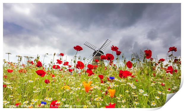 A Sea of Scarlet Joy Print by John Carson