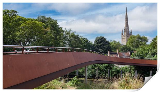 Majestic Norwich Cathedral in Summer Print by Kevin Snelling