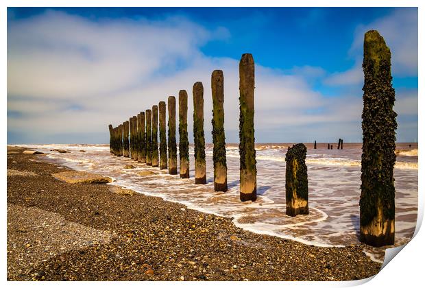 Spurn Head beach defences Print by Kevin Snelling