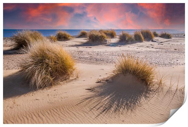 covehithe beach and dunes  Print by Kevin Snelling
