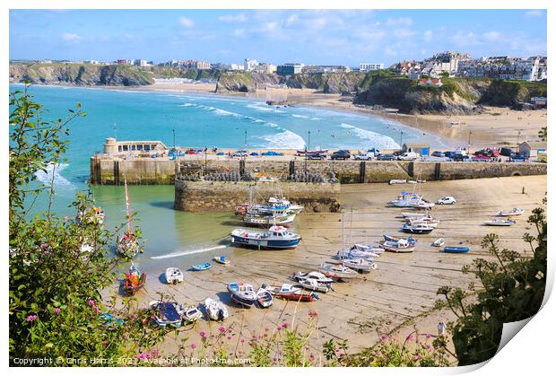 Newquay Harbour and Tolcarne Beach Print by Chris Harris