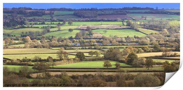 Slice of Cotswolds Print by Chris Harris