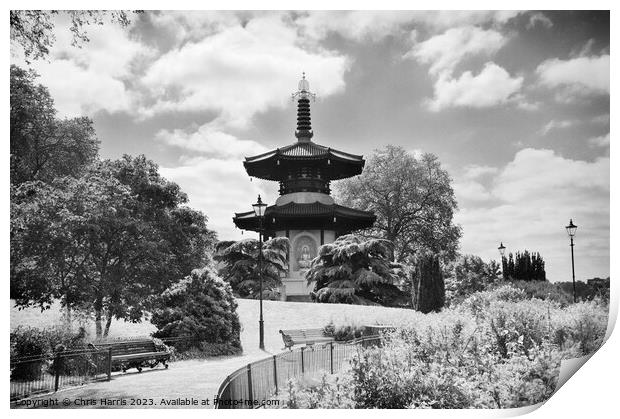 Battersea Park Peace Pagoda Print by Chris Harris