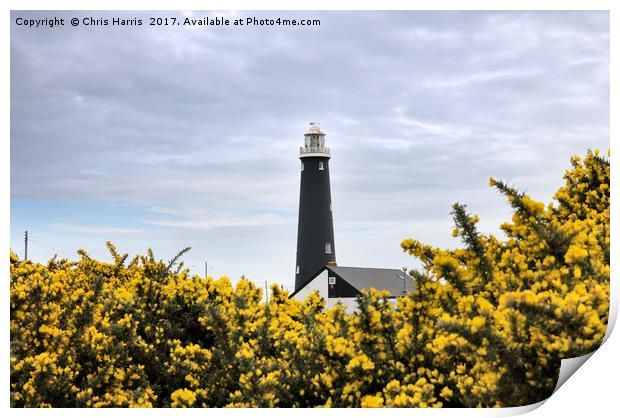 The Old Lighthouse, Dungeness Print by Chris Harris