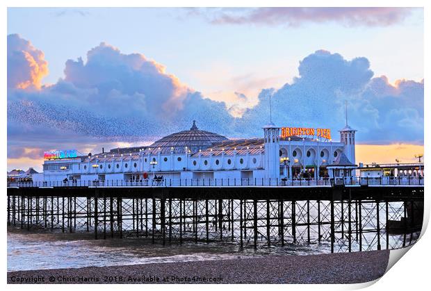 Brighton Palace Pier at twilight Print by Chris Harris