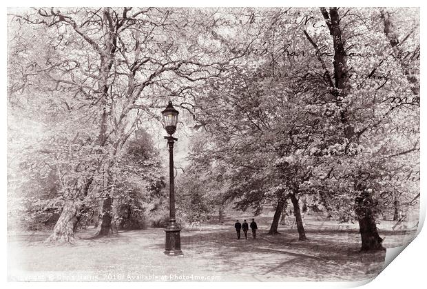 A walk in the park Print by Chris Harris