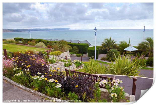 Weymouth coast from Greenhill Gardens Print by Chris Harris