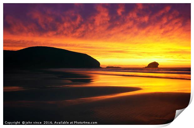 Gull Rock Print by john vince