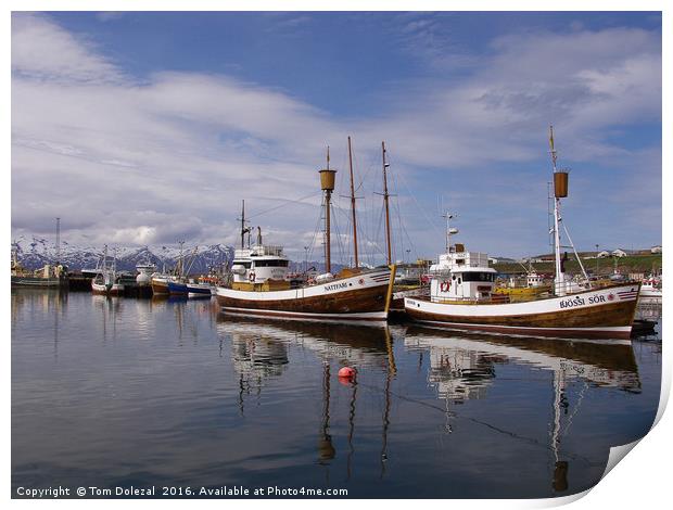 Icelandic fishing boats Print by Tom Dolezal