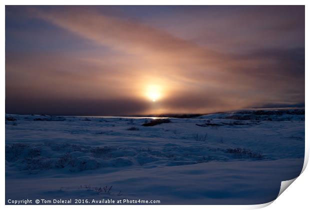 Icelandic winter sun Print by Tom Dolezal