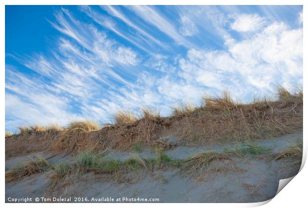Sky and sand Print by Tom Dolezal