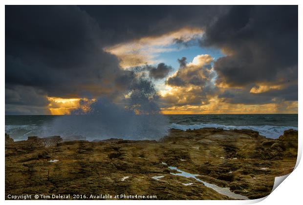 Lava field meets the sea Print by Tom Dolezal