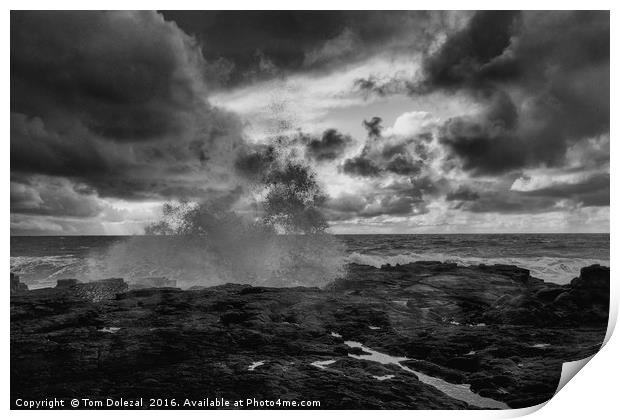 Lava field meets the sea - mono Print by Tom Dolezal
