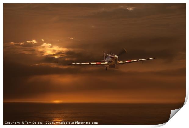 Hurricane over the sea Print by Tom Dolezal