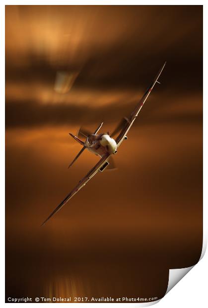 Incoming Spitfire Print by Tom Dolezal