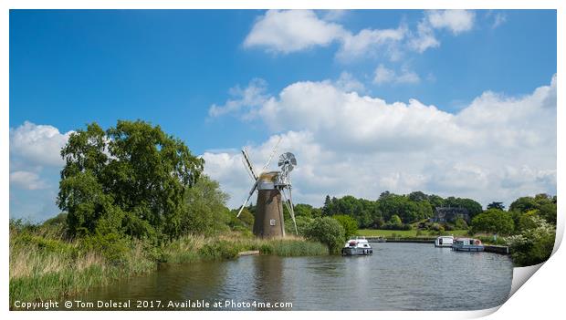Windmill on the Norfolk Broads Print by Tom Dolezal
