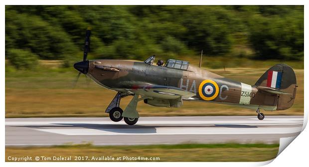 Landing Hawker Hurricane Print by Tom Dolezal