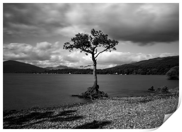 Millorchy Bay, Loch Lomond Print by Natasha Irvine