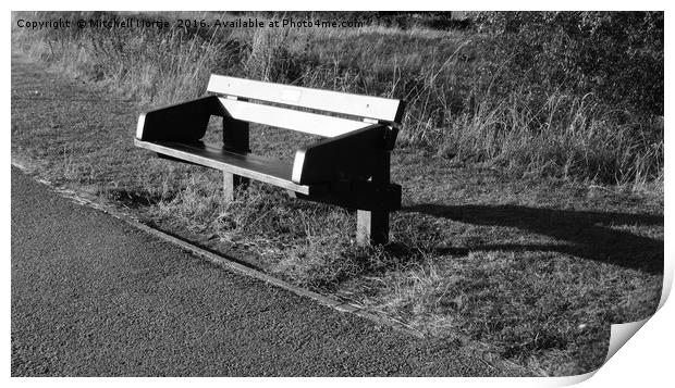 Wooden bench at Willen Lake Print by Mitchell Nortje
