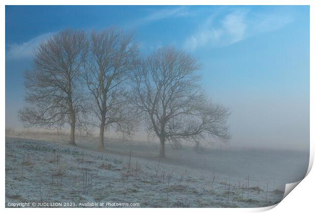 Three trees on a frosty and misty morning Print by JUDI LION