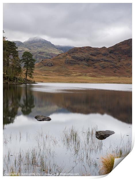 Calm afternoon at Blea Tarn Print by JUDI LION