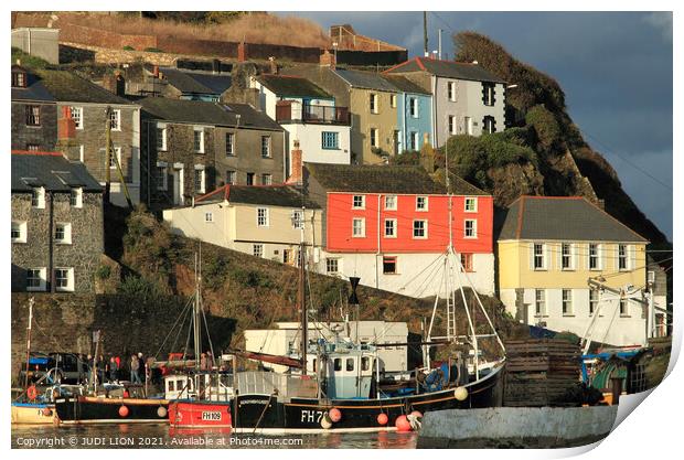 Evening in Mevagissey Harbour Print by JUDI LION