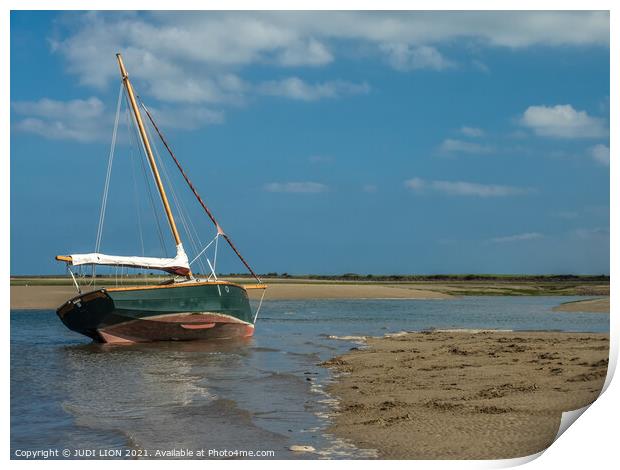 Green boat in shallow water Print by JUDI LION