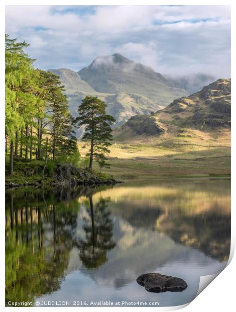Early morning at Blea Tarn in the Lake District Print by JUDI LION