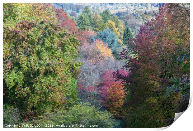 Glorious autumn colours Print by JUDI LION